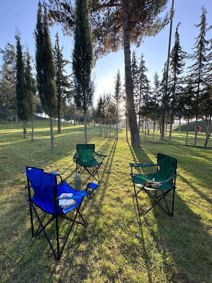 Chaise Pliante Camping Portable avec Porte-Gobelet et Sac de Transport